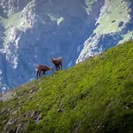Le Repaire Des Mouflons 1500 公寓