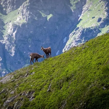 Le Repaire Des Mouflons 1500 Appartement *